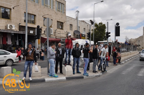 receive yaffa guys (3).JPG